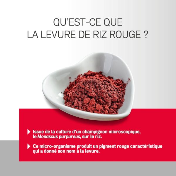 ARTERIN Levadura Roja de Arroz 2,9 mg - Contribuye al funcionamiento normal del corazón* - Complemento alimenticio a base de Levadura Roja de Arroz y *Vitaminas B1-90 Comprimidos - Eco pack
 Embalaje Deteriorado Sale